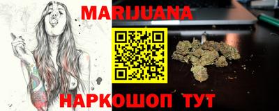 крисы Брянск